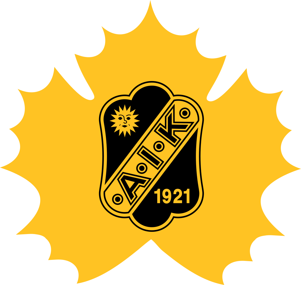 Skellefteå AIK damer