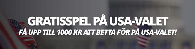 Gratisspel på USA-valet 2024